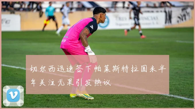 切尔西迅速签下帕莱斯特拉国米半年关注无果引发热议